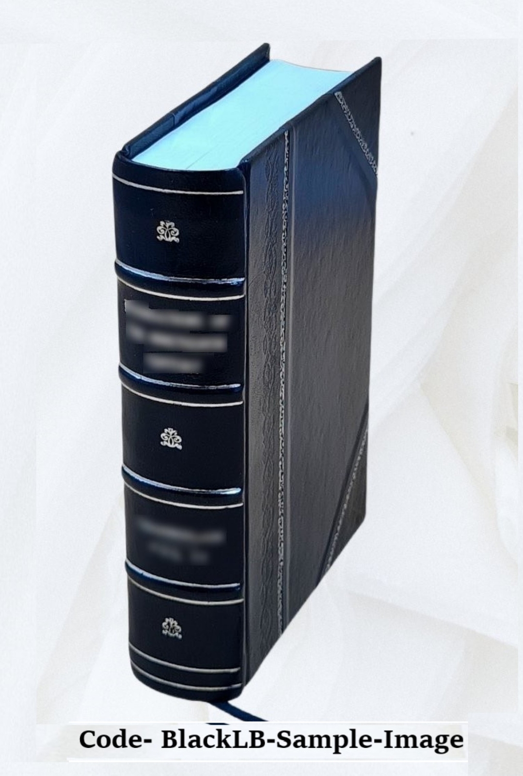 [Publications]. Volume 102 1901 by Anonymous [Leather Bound]
