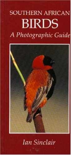 Southern African Birds: A – Paperback, by Ian Sinclair Sinclair – Very Good j