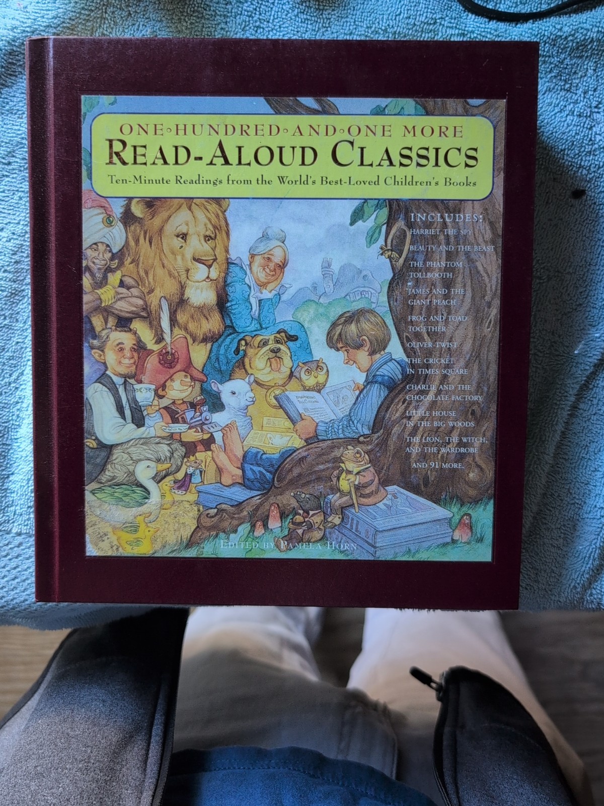 101 More Read-Aloud Classics : Pamela Horn (1996, Hardcover)