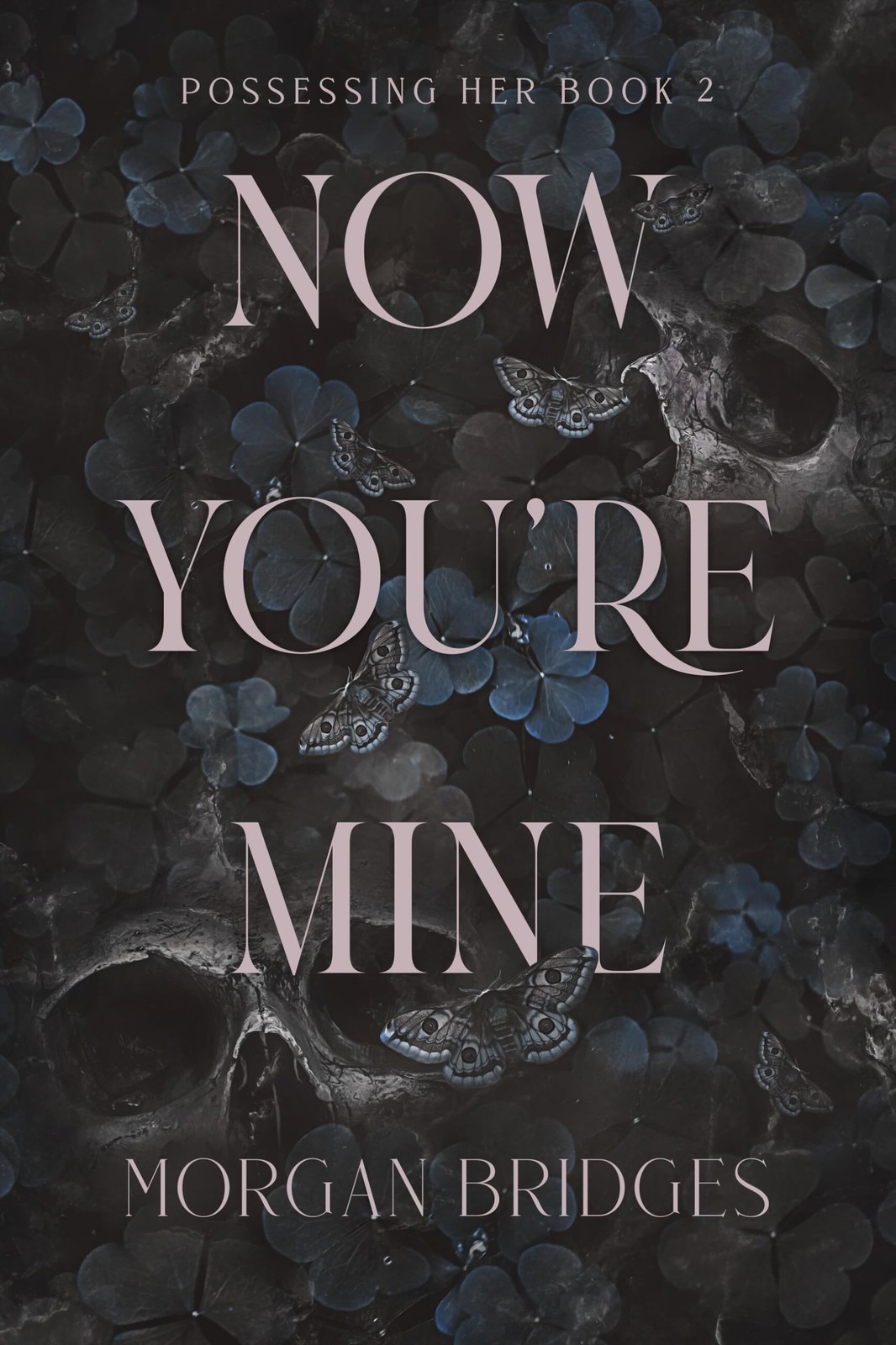 Now You’re Mine: A Dark Stalker Romance (Possessing Her)