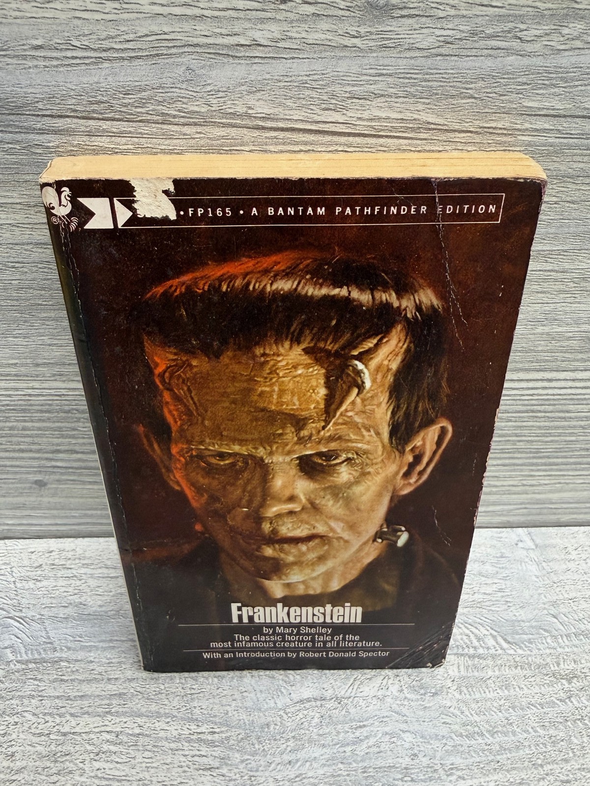 Frankenstein Mary Shelley Bantam Pathfinder Edition FP165 Vintage Paperback Book