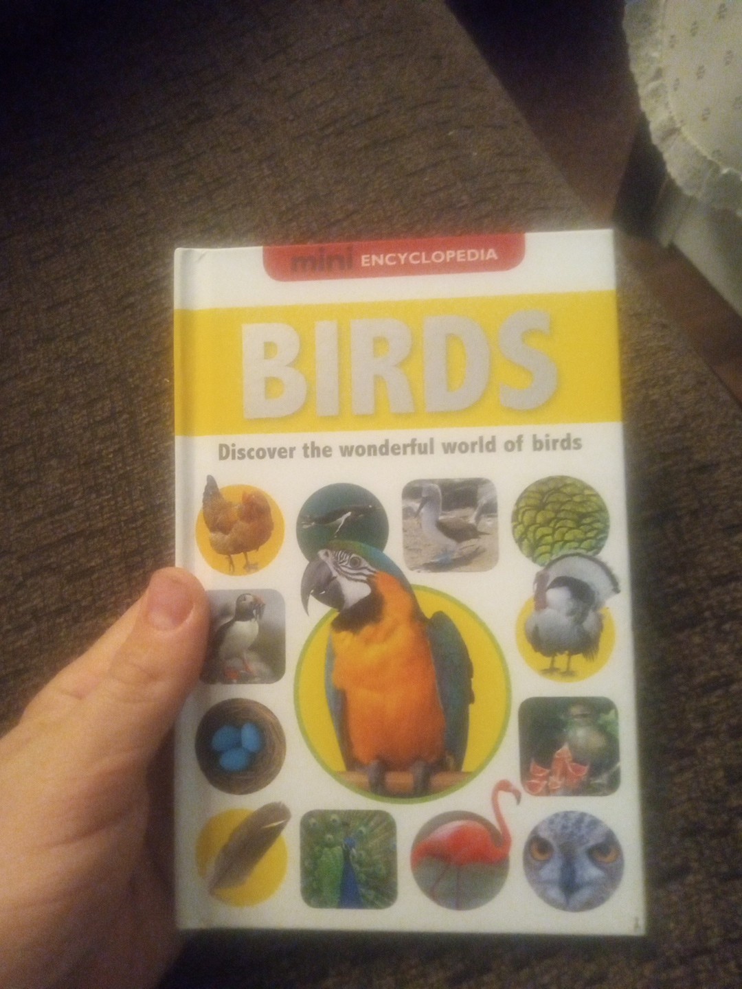 Birds Mini Encyclopedia