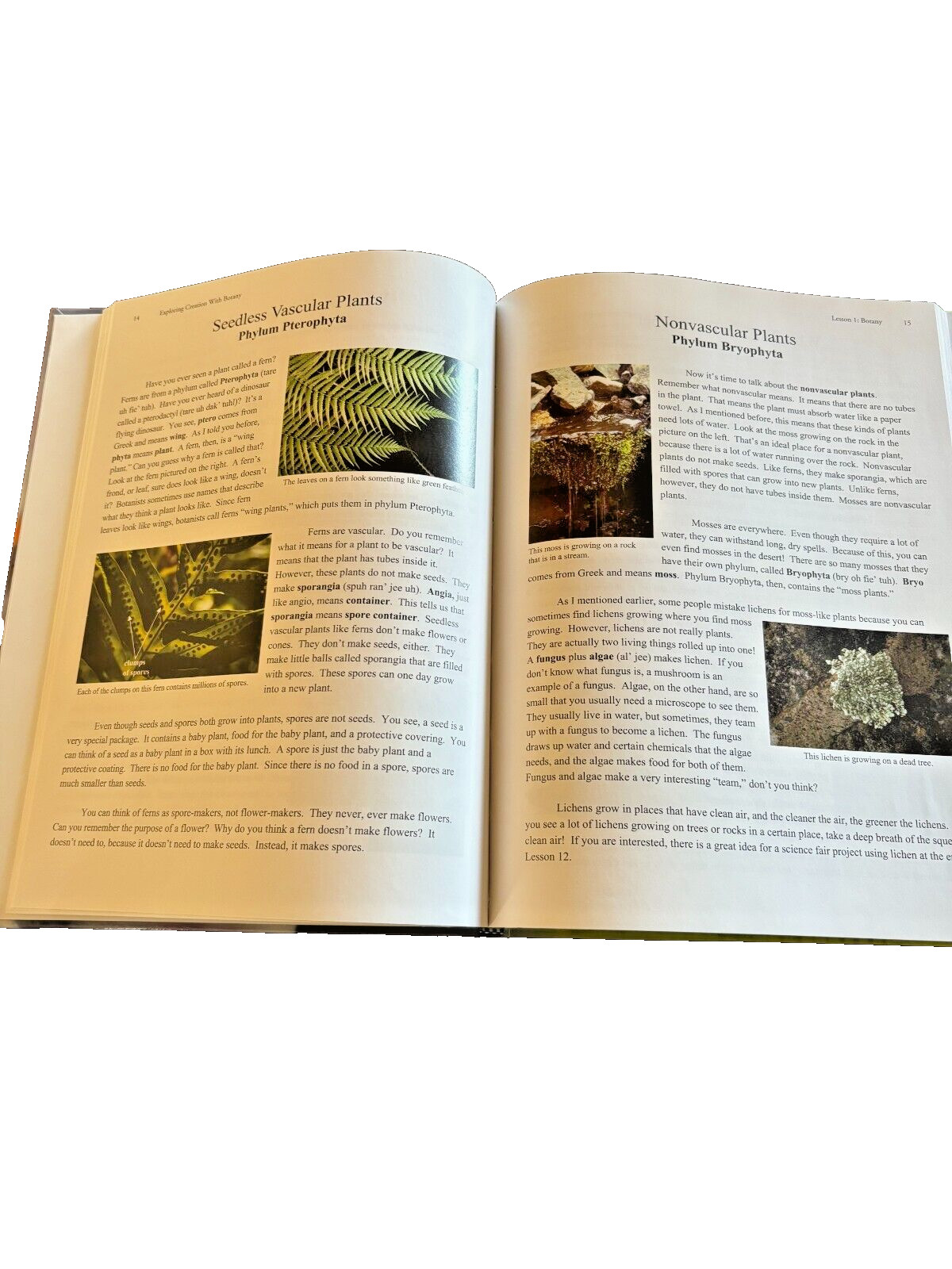 Apologia: Exploring Creation with Botany by Jeannie Fulbright (2004, Hardcover)