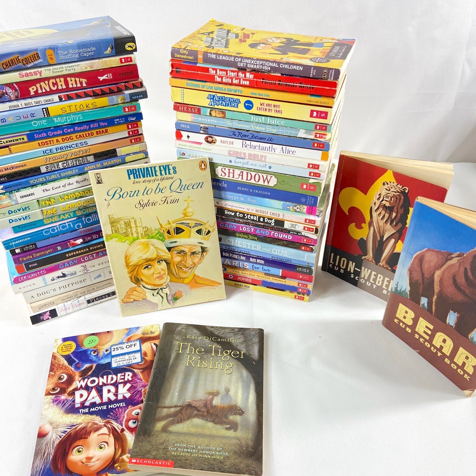 100 Kids Chapter Books Random Lot, Some Scholastic, Ages 8-12 And 6-8 Bulk Books
