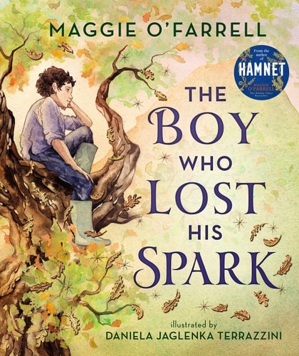 The Boy Who Lost His Spark by Maggie O’Farrell (hardcover)