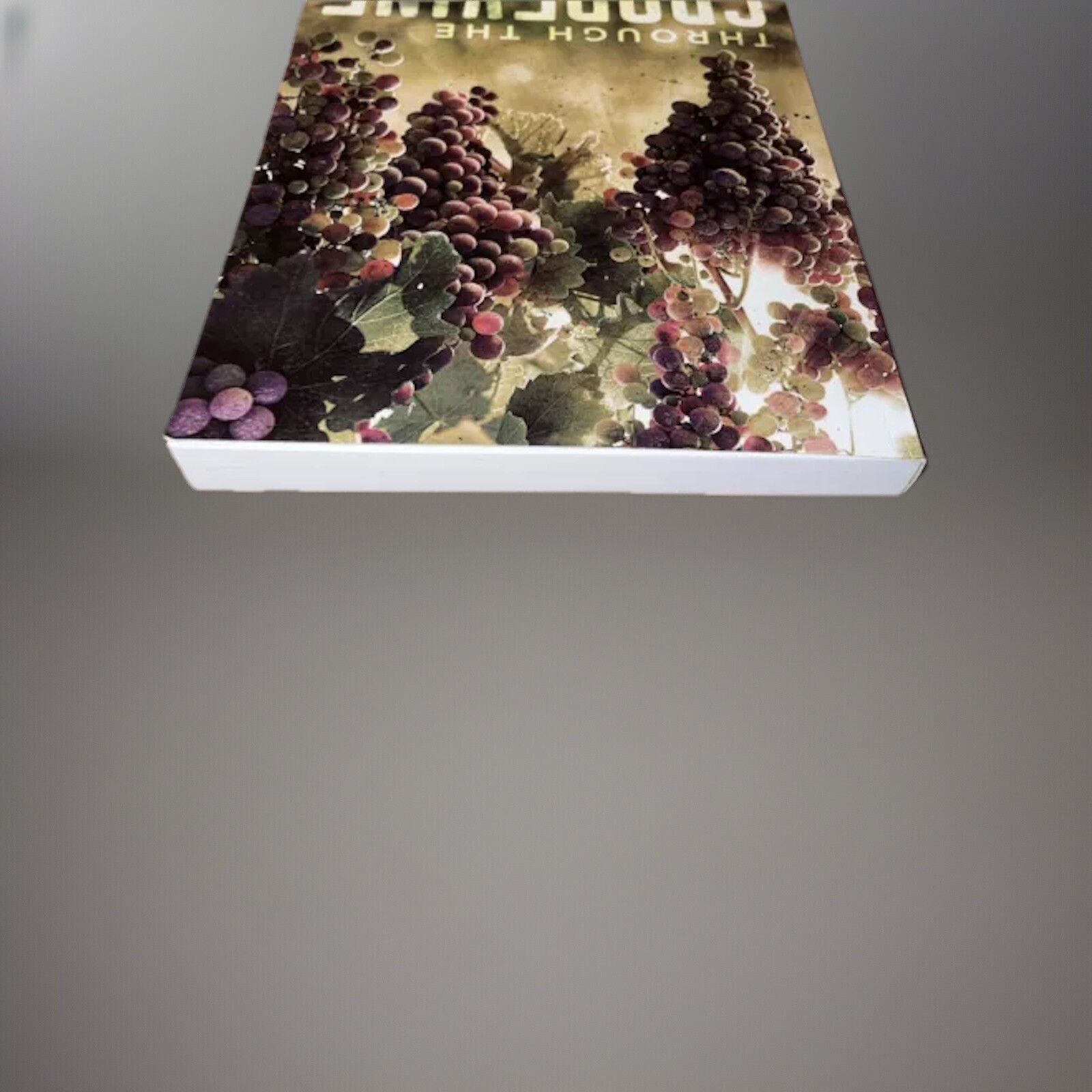 Through The Grapevine Novel David Hudson 2018 Palmetto Publishing *SIGNED*