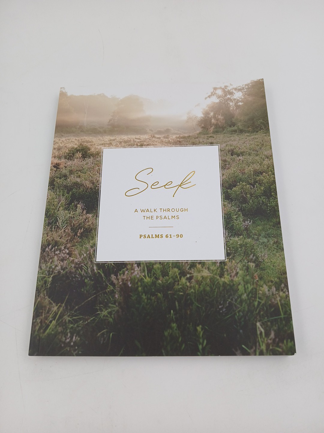 Seek 6 Week Bible Study A Walk Through Psalms 61-90 The Daily Grace Co