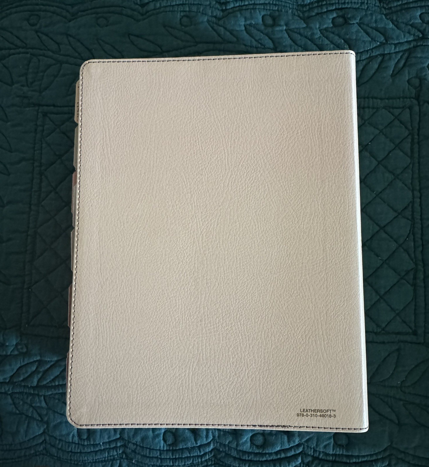 ESV The Jesus Bible in Light Peach Floral Leathersoft