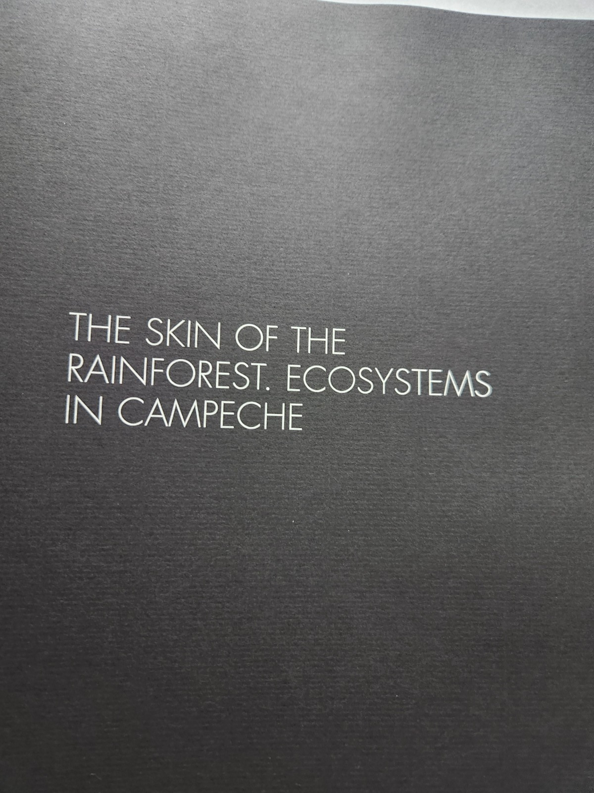 Skin of the Rainforest: Ecosystems in Campeche Mexico Pictorial Science Travel