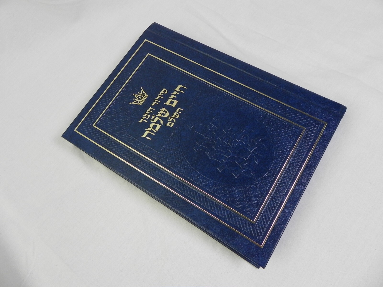 Siddur Chinuch-Chaim Shlomo Hashalem: Nusach Ashkenas (Hebrew Edition)