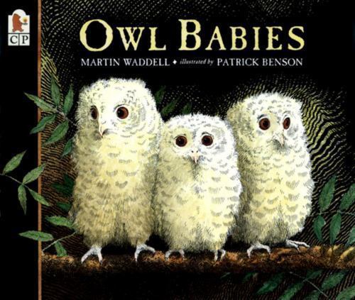Owl Babies – 9780763617103, Martin Waddell, paperback