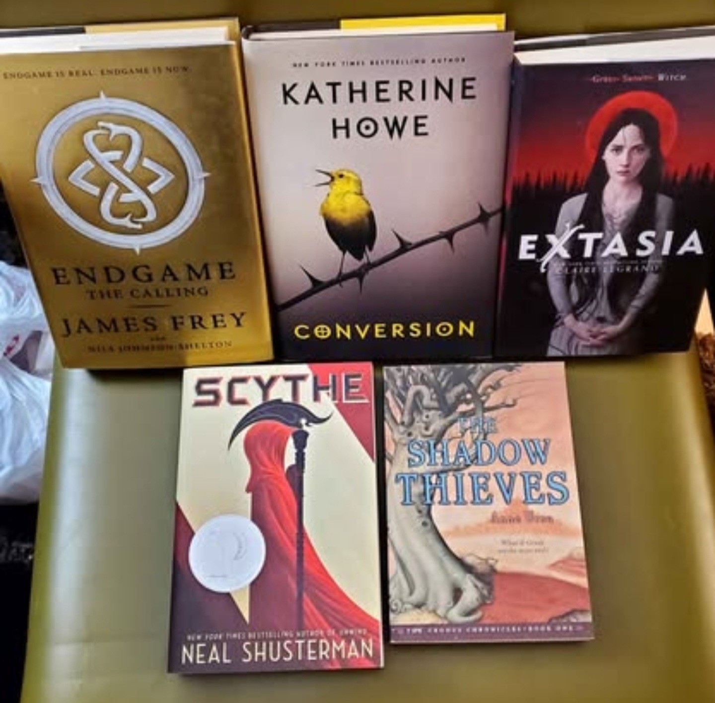 Book Lot YA Fantasy Dystopian Endgame Conversion Extasia Scythe Young Adult