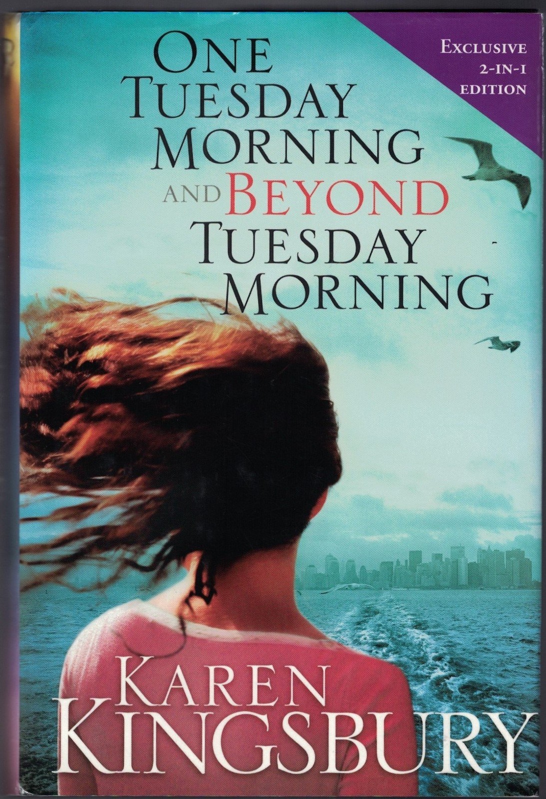 One Tuesday Morning/Beyond Tuesday Morning (September 11 Series 1-2) – hardc…