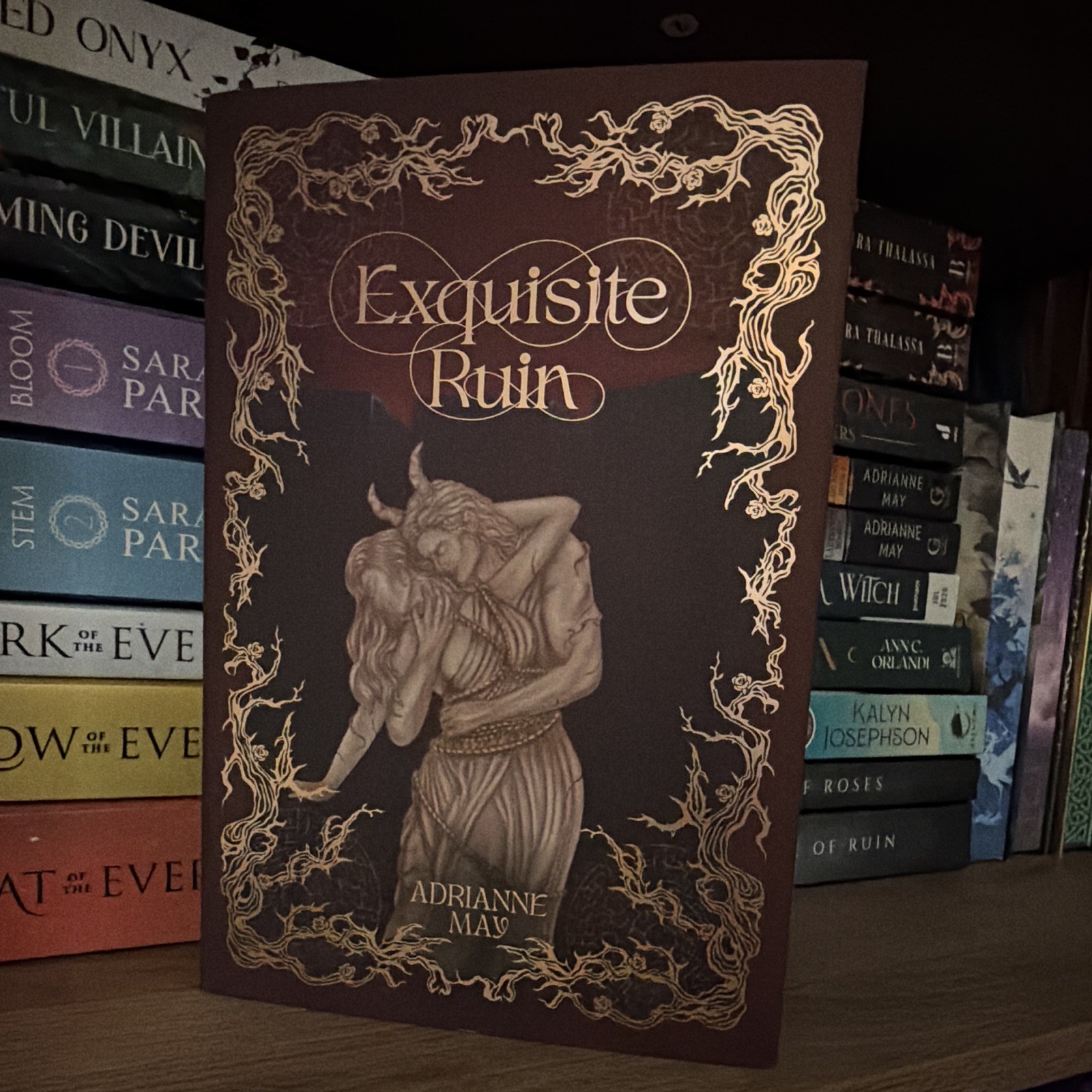 OwlCrate Adrianne May Exquisite Ruin Hardcover Romance Fiction Novel English