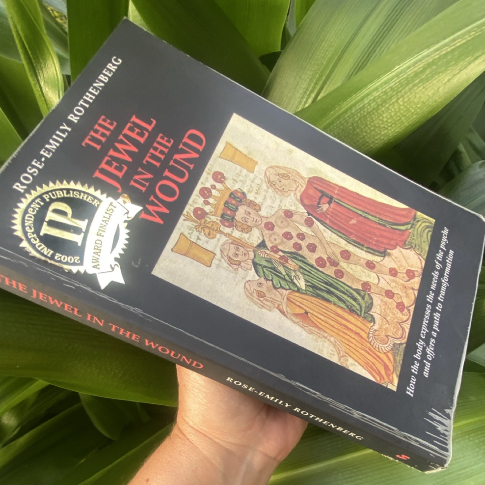 The Jewel in the Wound by Rose-Emily Rothenberg Paperback Chiron Publications
