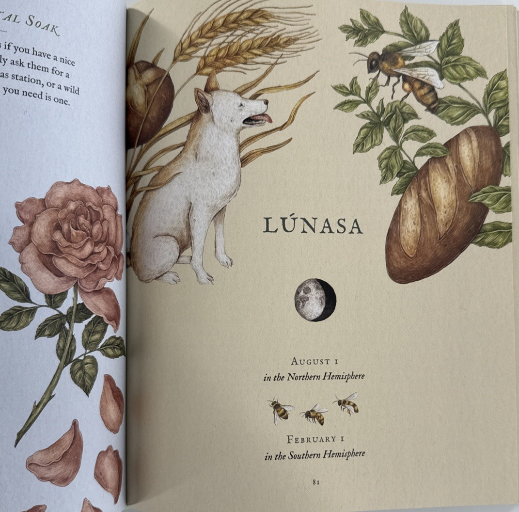 The Wheel of the Year: An Illustrated Guide to Nature’s Rhythms HC