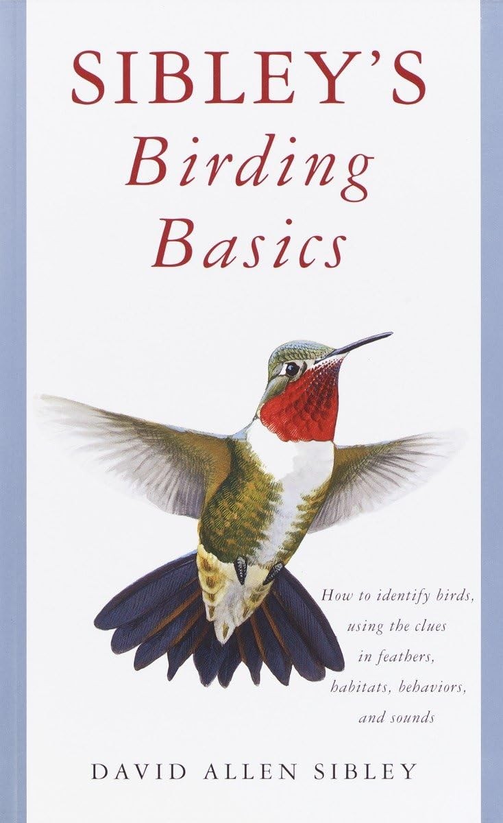 Sibley’s Birding Basics (Sibley Guides) – Sibley, David Allen – Good – See c…