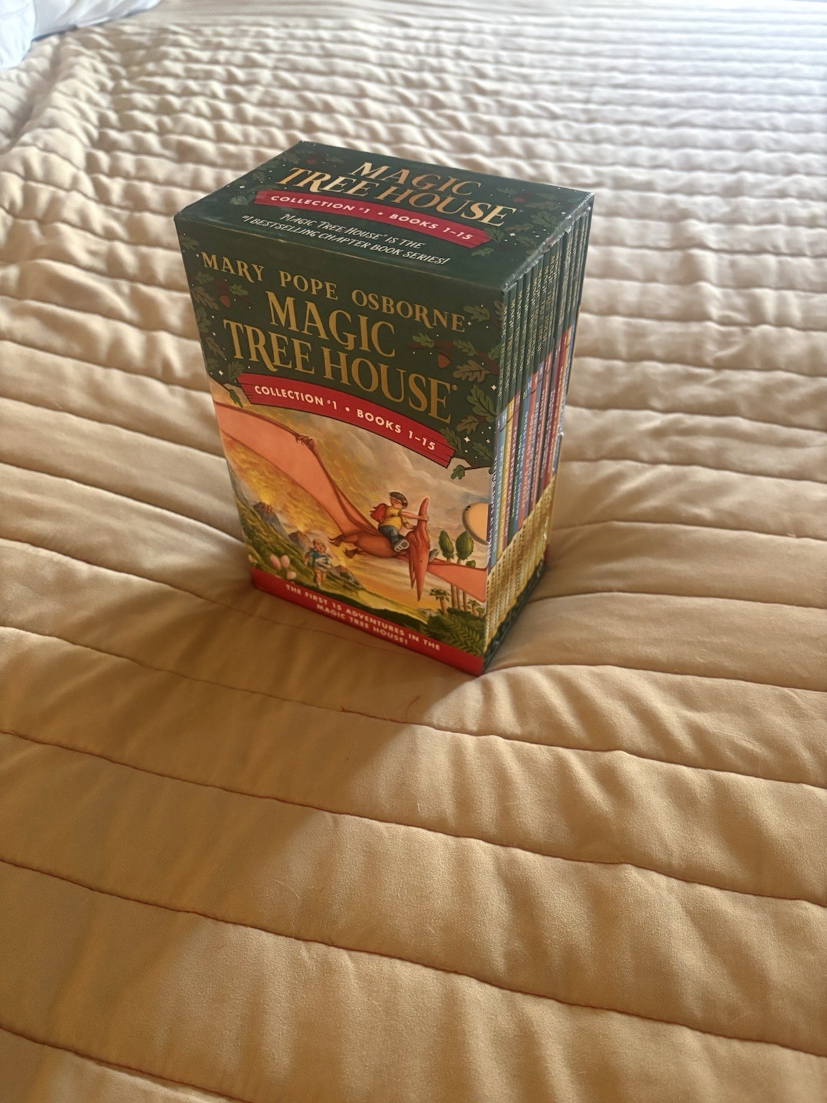 Magic Tree House / Collection #1 / Lot of 1-15 Boxed Set – Mary Pope Osborne