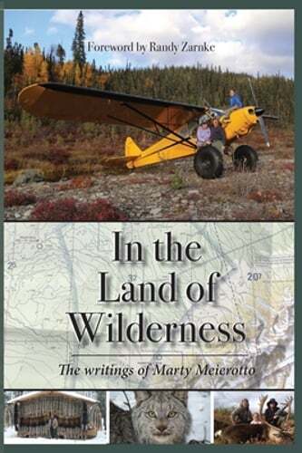 In the Land of Wilderness by Marty Meierotto: New