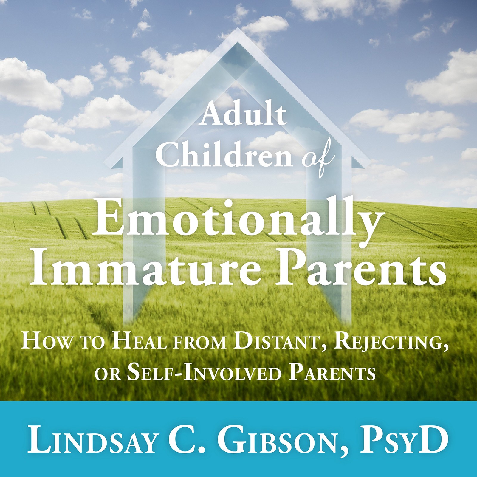 Lindsay C Gibson Adult Children of Emotionally Immature Parents (Hardback)
