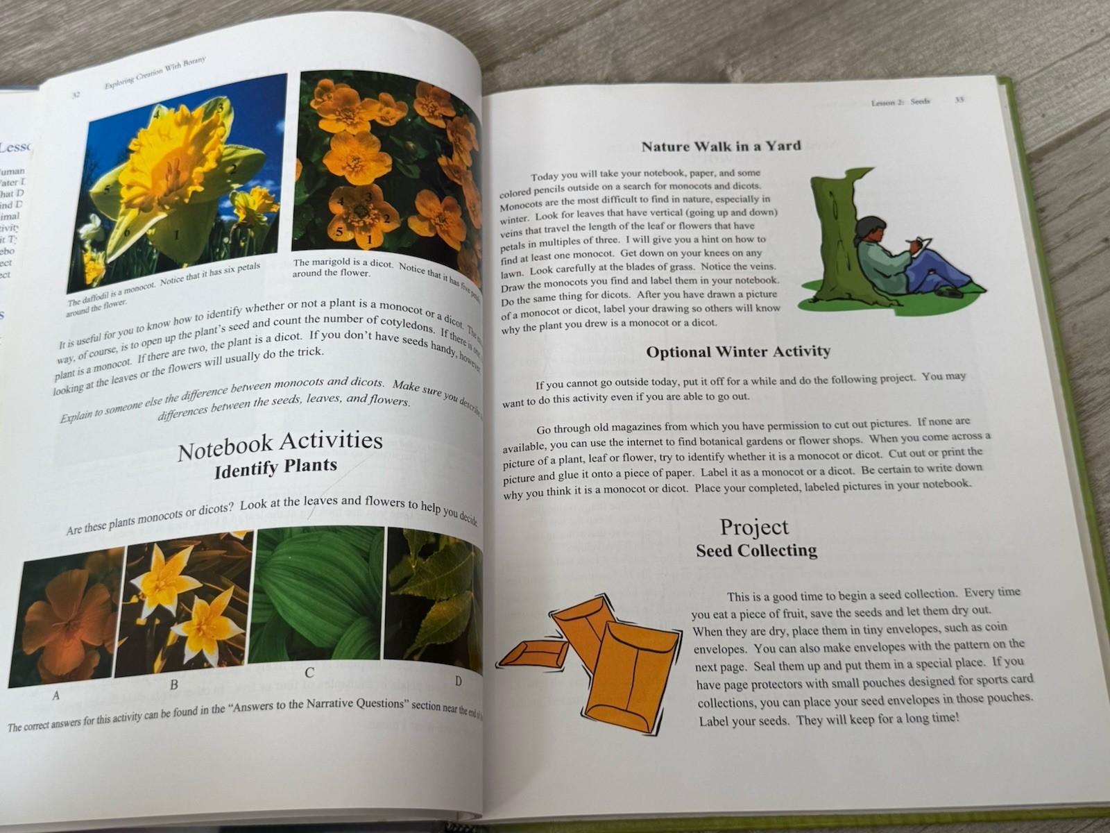 🌻 SET Exploring Creation with Botany Textbook & Journal – Jeannie Fulbright