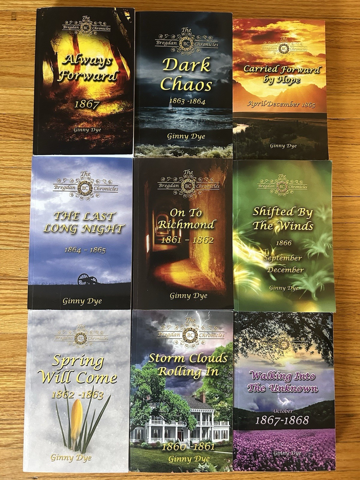 BIG Lot Of 9 The BREGDAN CHRONICLES Ginny Dye Books In Good Condition- 1-6, 8-10