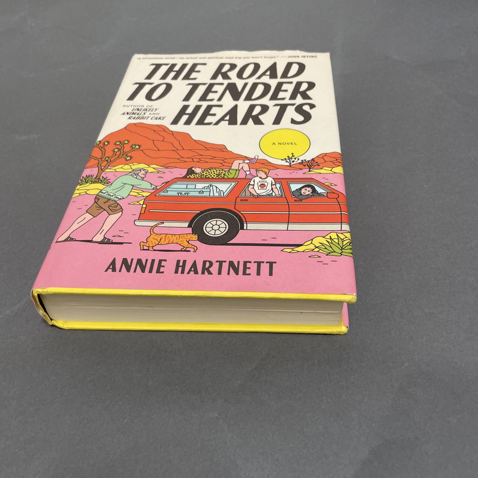 The Road to Tender Hearts: A Novel Annie Hartnett Hardcover Book