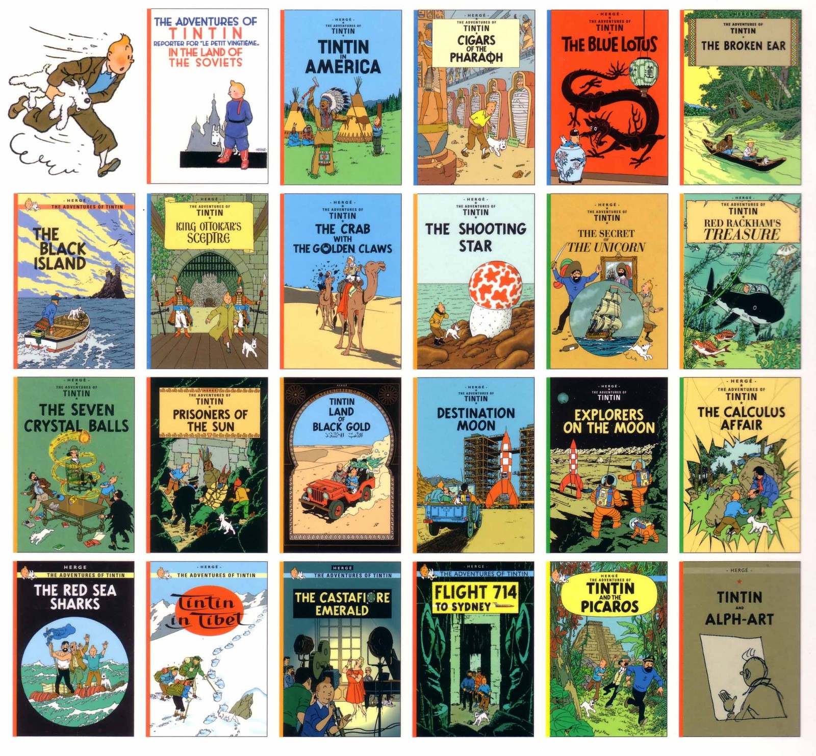 Tintin Comic Strip Books Set – A Collection of 23 Full Sized Books