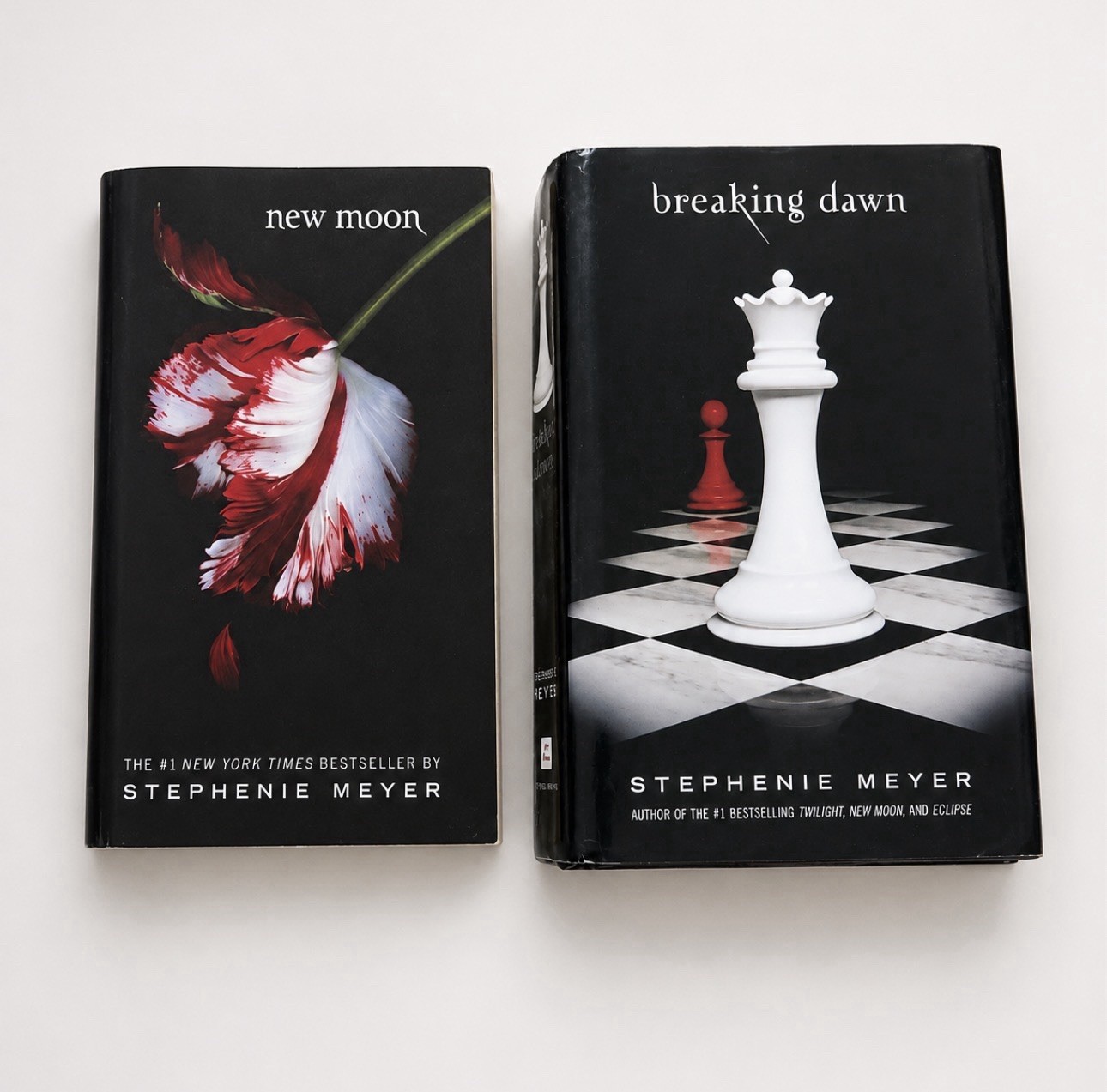 Stephenie Meyer Twilight Saga 2 Book Lot New Moon Breaking Dawn 1st Edition