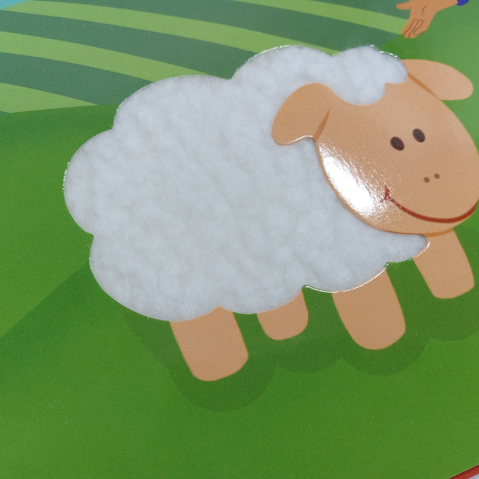 Blue’s Clues & You! First Look & Find + Farm Day Touch-and-Feel Book Set