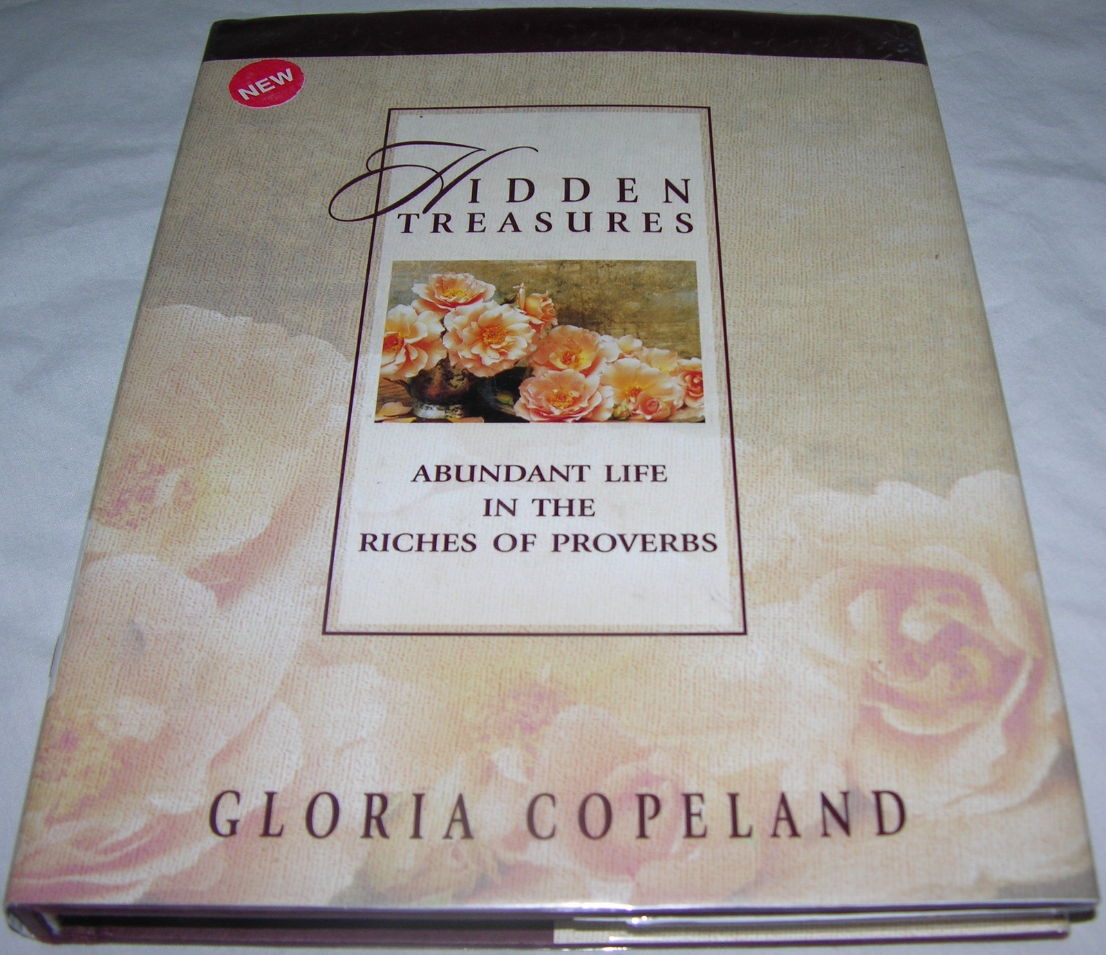 Hidden Treasures: Abundant Life in the Riches of Proverbs – hardcover Copela…