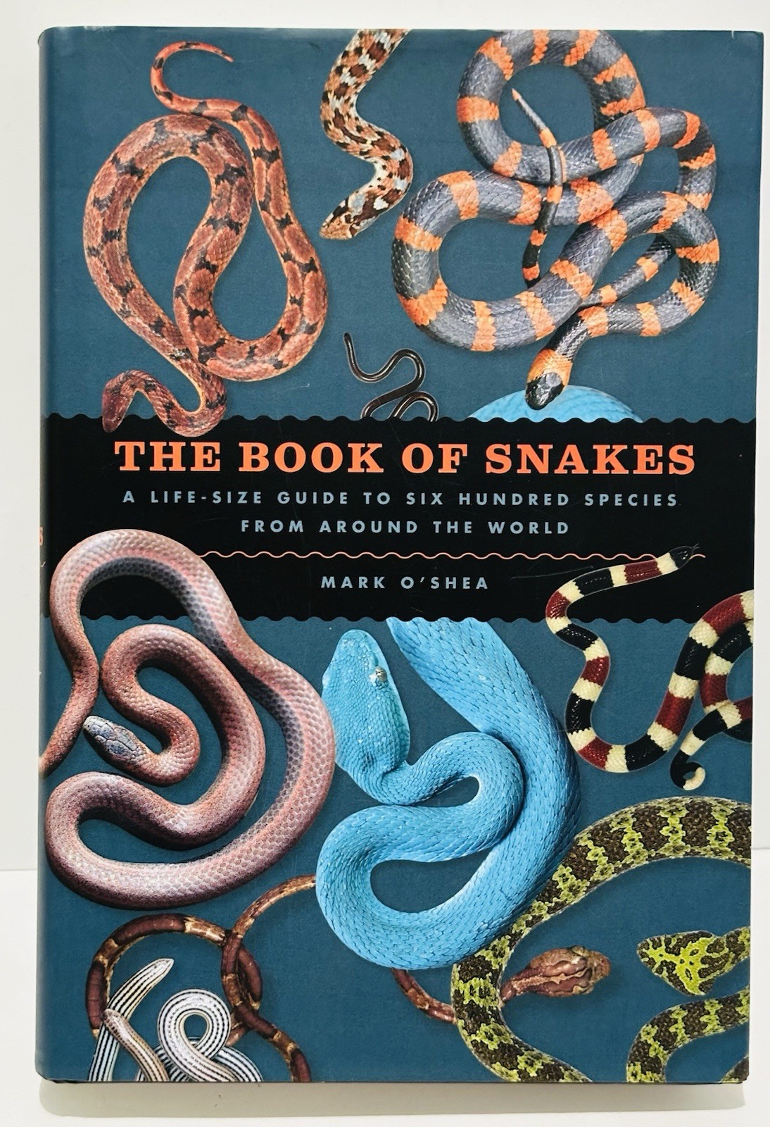 Book of Snakes: A Life-Size Guide to Six Hundred Species From Around the World