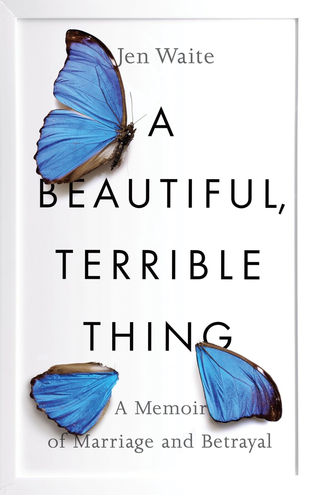 A Beautiful, Terrible Thing: A Memoir of Marriage and Betrayal – paperback W…