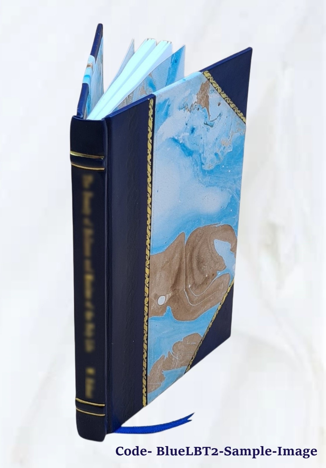 Catalogue Of An Exhibition Of Paintings Lent By Mrs. Coonley War [Leather Bound]