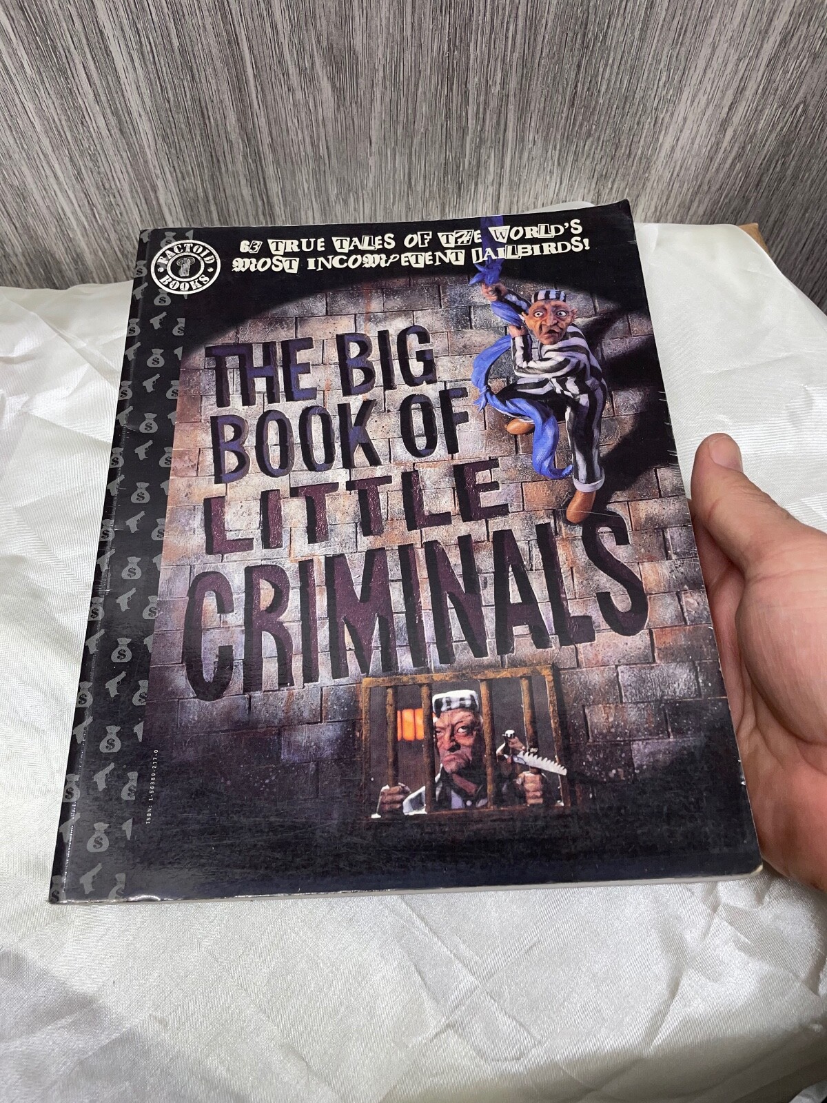 The Big Book Of Little Criminals 63 True Tales Of The World’s Most Incompetent J