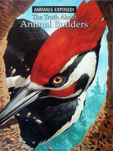 The Truth about Animal Builders; Anim- paperback, Bernard Bertram, 9780439543286
