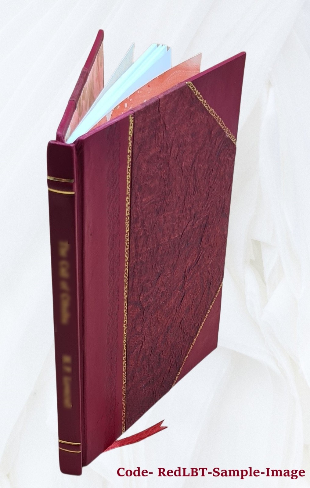 Catalogue Of An Exhibition Of Paintings Lent By Mrs. Coonley War [Leather Bound]