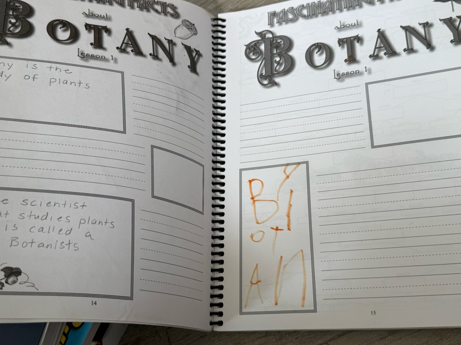 🌻 SET Exploring Creation with Botany Textbook & Journal – Jeannie Fulbright
