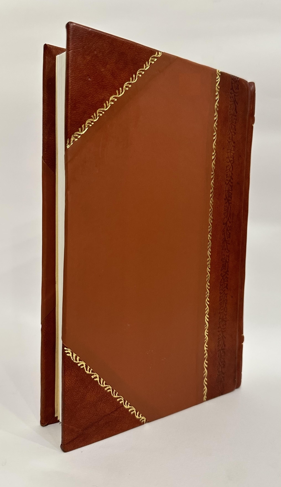 The Stereograph and the Stereoscope, with Special Maps and [Leather Bound]