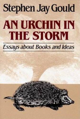 An Urchin in the Storm: Essays About Books and Ideas – Paperback – GOOD