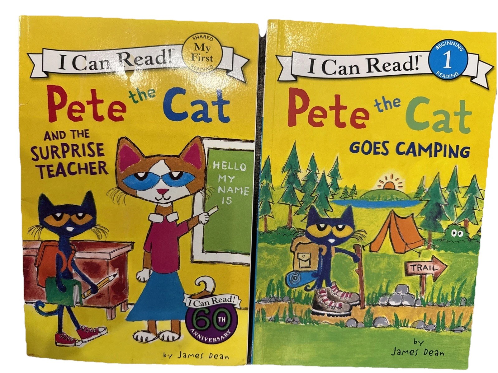 Lot of 2 Books Pete the Cat Goes Camping & The Surprise Teacher Level 1