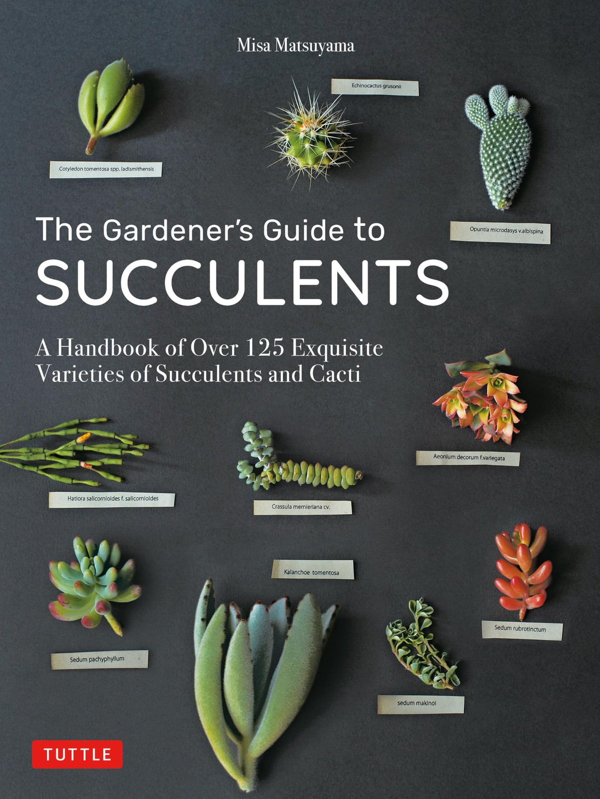 The Gardener’s Guide to Succulents: A Handbook of Over 125 Exquisite Varieti…