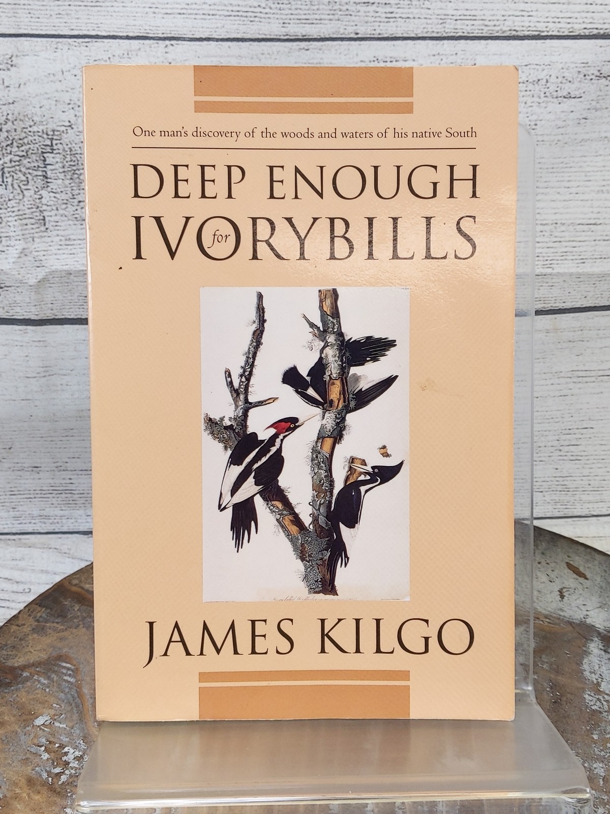 Deep Enough for Ivorybills (Brown Thrasher Books) by James Kilgo 1995 Paperback
