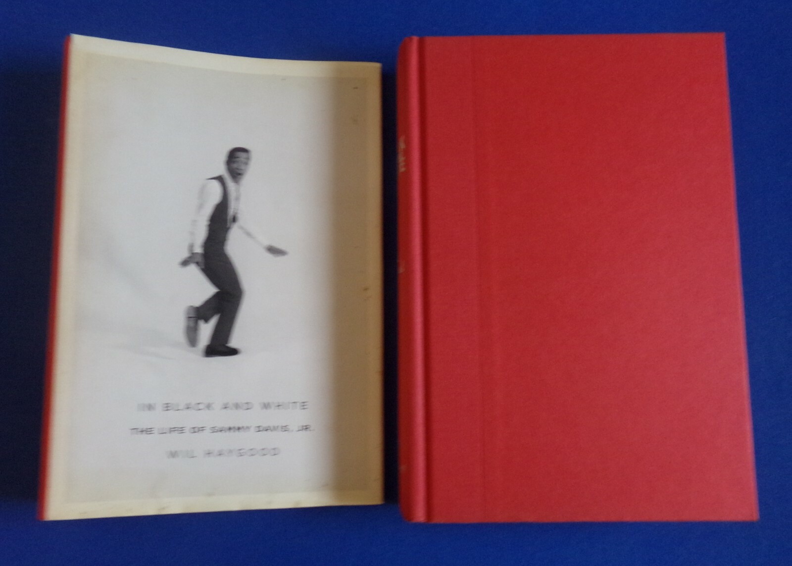 Sammy Davis Jr In Black & White Will Haygood Hardcover w/ Dust Jacket Biography