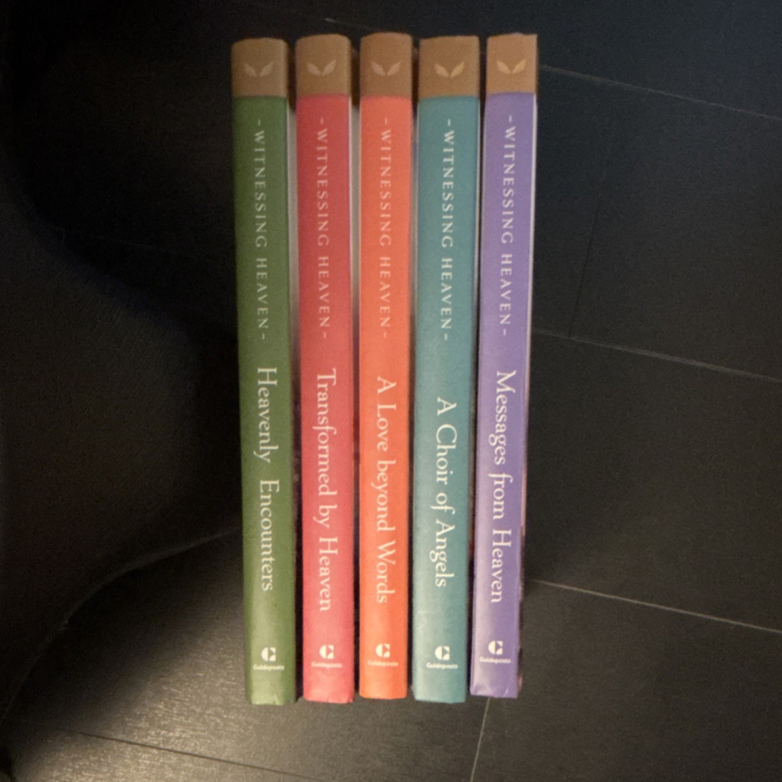 Guideposts Witnessing Heaven 5-Book Hardcover Set Near-Death Experiences