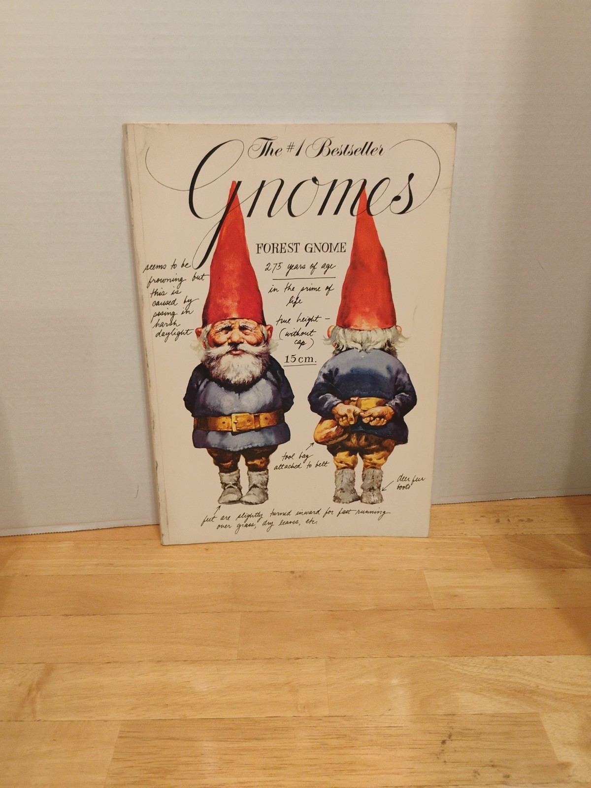 Gnomes by Wil Huygen Illustrator Rien Poortvliet HC DJ Classic Book 1977 VG