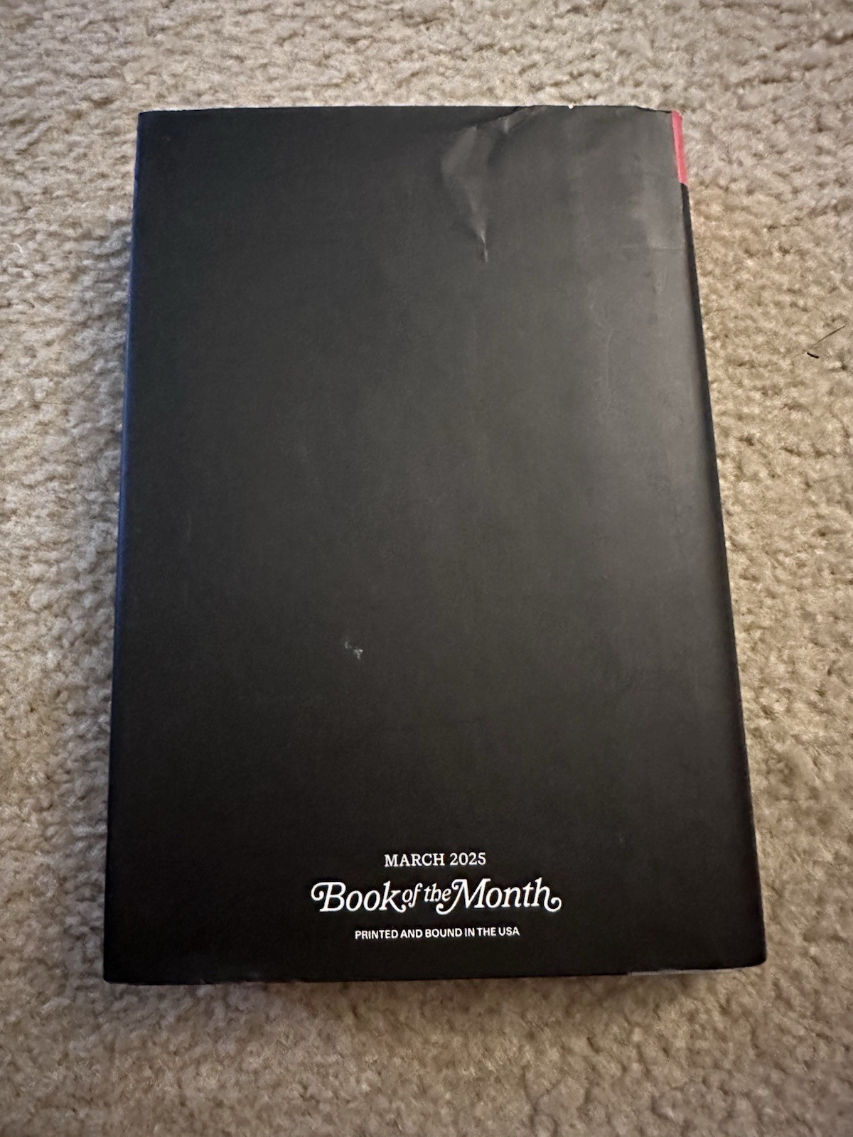 Count My Lies by Sophie Stava (2025, Hardcover) BOTM Edition