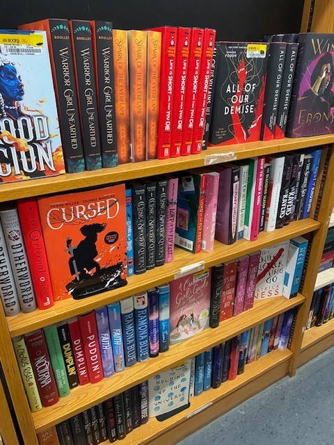 Lot of 10 Young Adult YA Books – Teen Fiction Novels Mixed Genres Bulk Lot