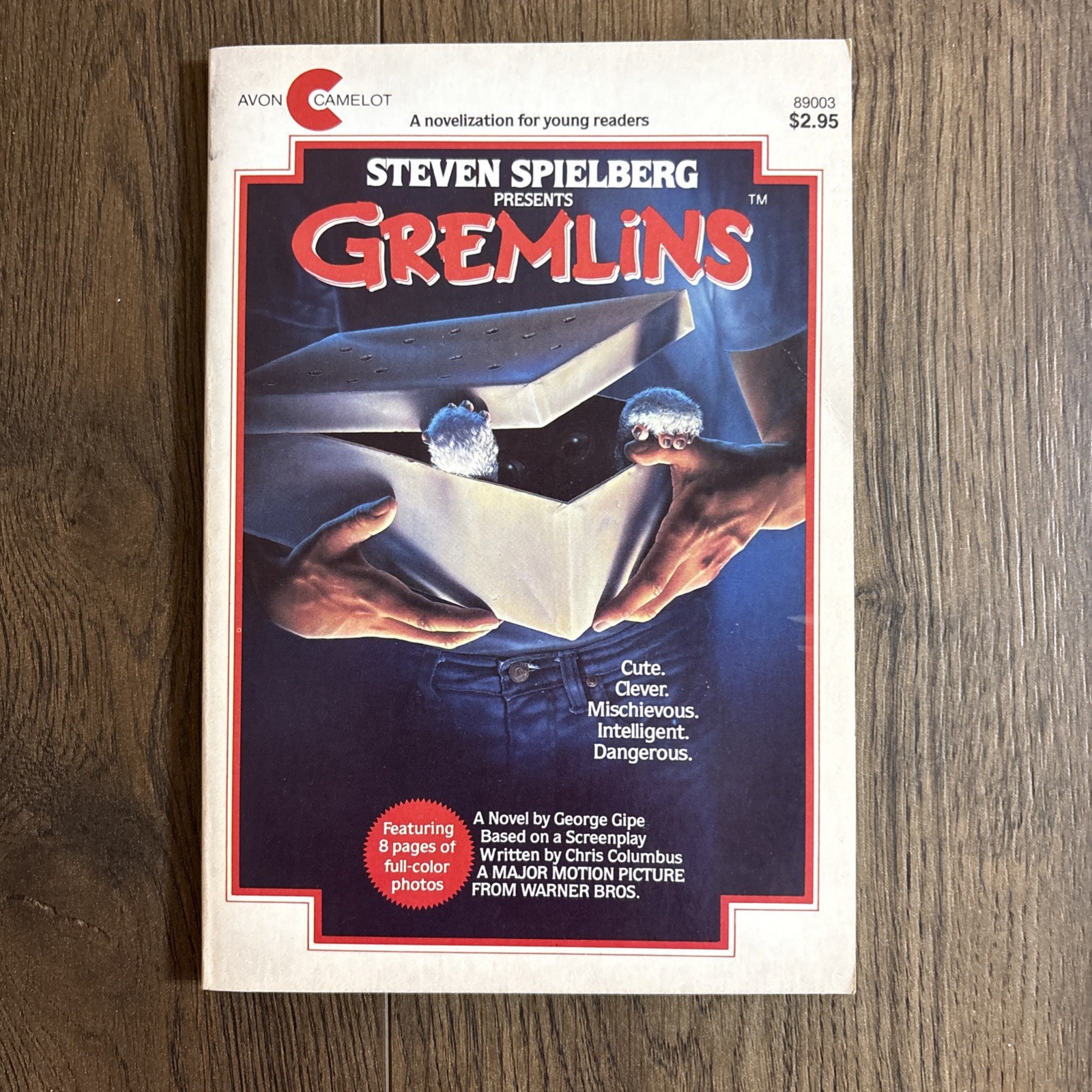 GREMLINS – 1984 – First Edition First Print Movie Tie-in Vintage Paperback