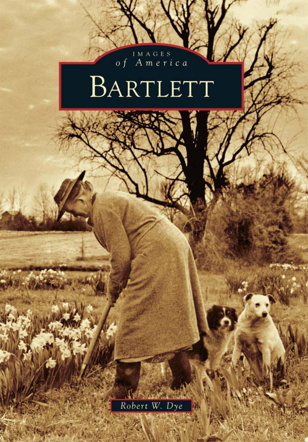 NEW Arcadia Publishing Bartlett, TN 9780738566733 Images of America Trade Paperb